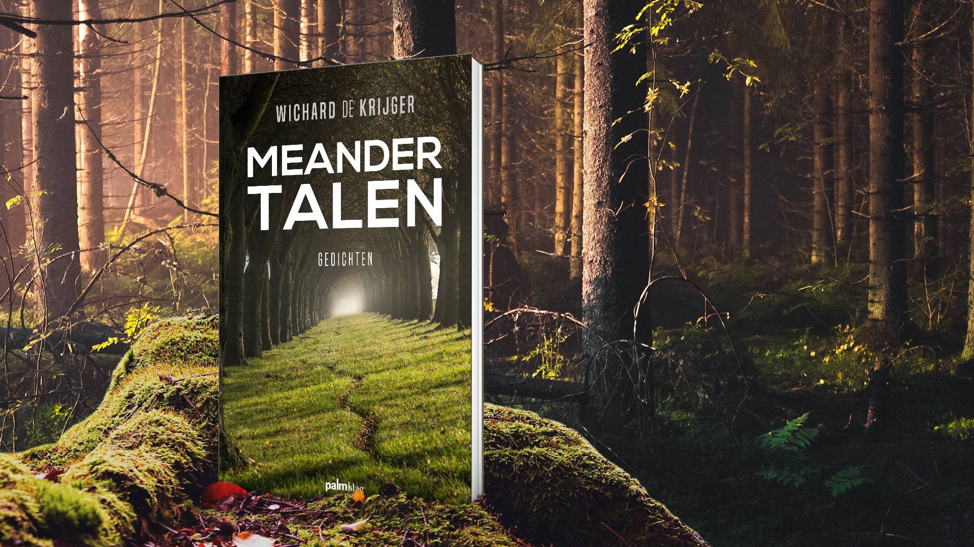 Vrijheid in ontwerp vangen voor ‘Meandertalen’ 